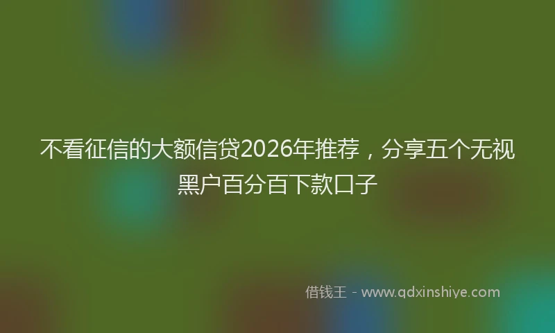 不看征信的大额信贷2026年推荐,分享五个无视黑户百分百下款口子