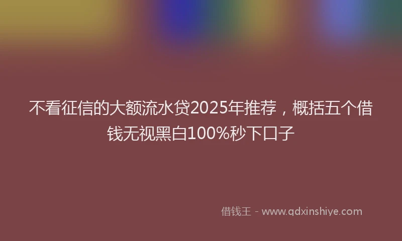 不看征信的大额流水贷2025年推荐，概括五个借钱无视黑白100%秒下口子