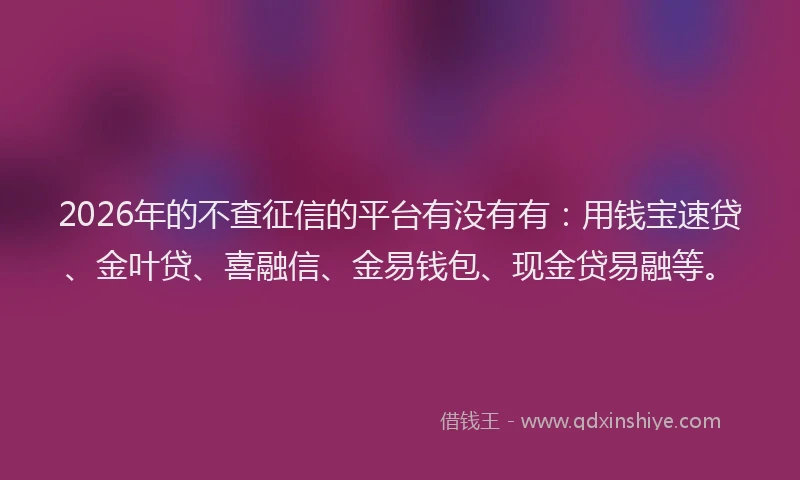 2026年的不查征信的平台有没有有：用钱宝速贷、金叶贷、喜融信、金易钱包、现金贷易融等。