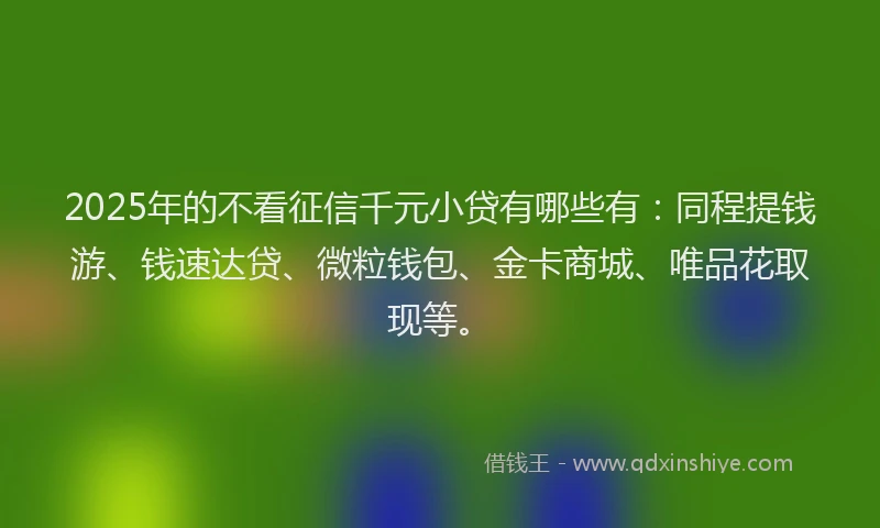 2025年的不看征信千元小贷有哪些有:同程提钱游、钱速达贷、微粒钱包、金卡商城、唯品花取现等。