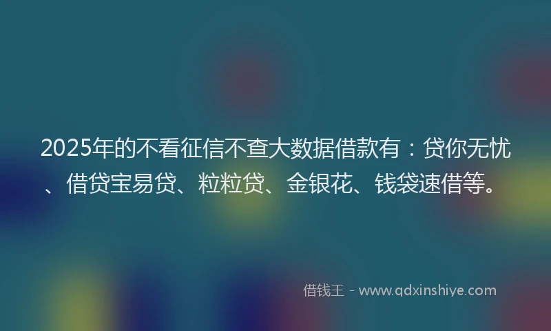 2025年的不看征信不查大数据借款有:贷你无忧、借贷宝易贷、粒粒贷、金银花、钱袋速借等。