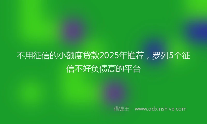 不用征信的小额度贷款2025年推荐，罗列5个征信不好负债高的平台
