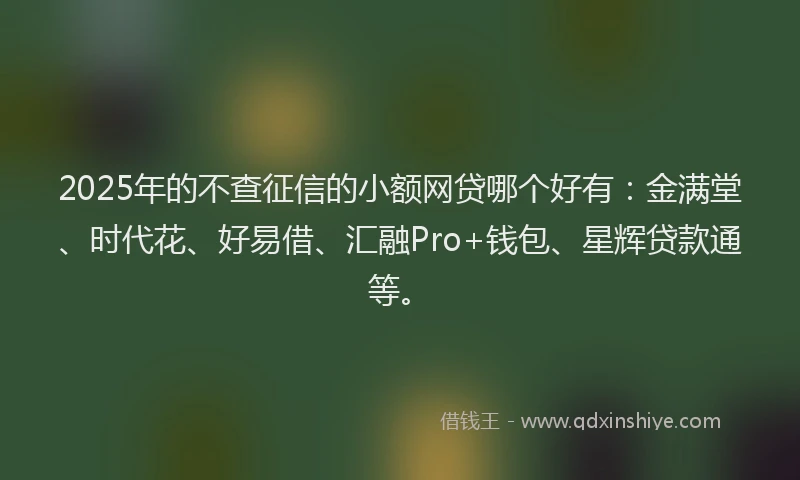 2025年的不查征信的小额网贷哪个好有:金满堂、时代花、好易借、汇融Pro+钱包、星辉贷款通等。