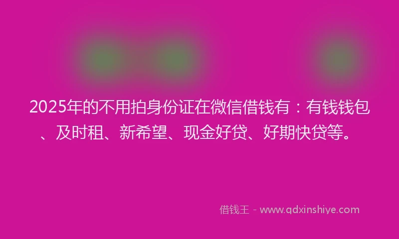 2025年的不用拍身份证在微信借钱有：有钱钱包、及时租、新希望、现金好贷、好期快贷等。