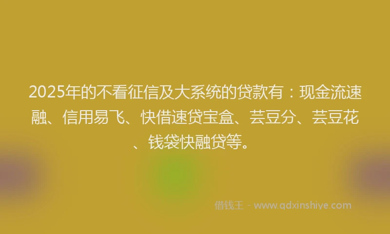 2025年的不看征信及大系统的贷款有：现金流速融、信用易飞、快借速贷宝盒、芸豆分、芸豆花、钱袋快融贷等。