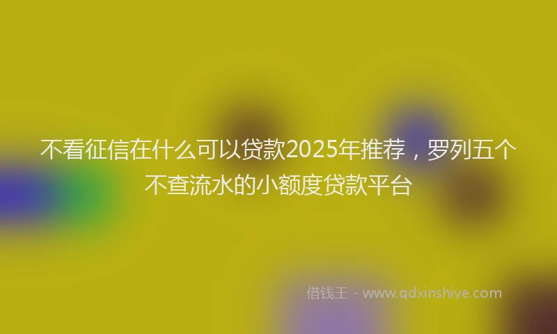 不看征信在什么可以贷款2025年推荐，罗列五个不查流水的小额度贷款平台