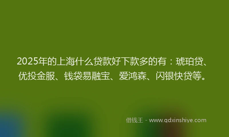 2025年的上海什么贷款好下款多的有：琥珀贷、优投金服、钱袋易融宝、爱鸿森、闪银快贷等。