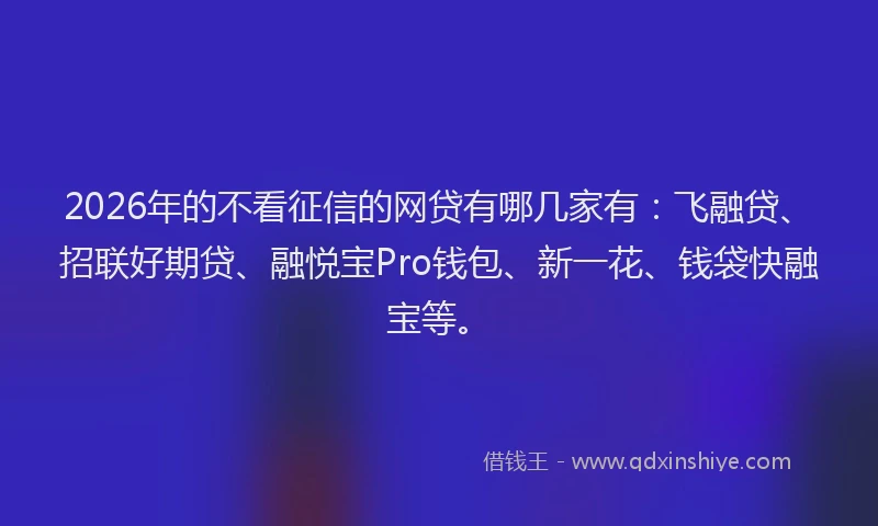2026年的不看征信的网贷有哪几家有：飞融贷、招联好期贷、融悦宝Pro钱包、新一花、钱袋快融宝等。