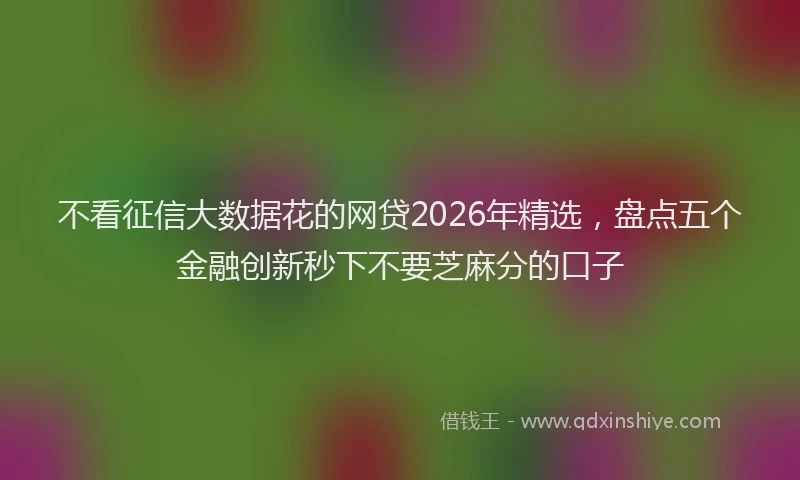 不看征信大数据花的网贷2026年精选，盘点五个金融创新秒下不要芝麻分的口子