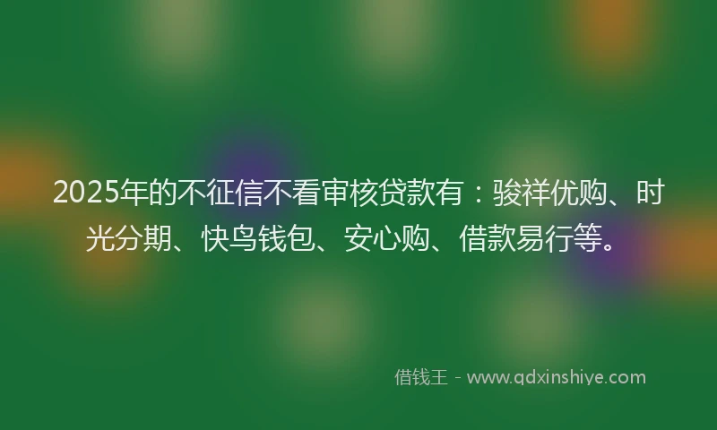 2025年的不征信不看审核贷款有：骏祥优购、时光分期、快鸟钱包、安心购、借款易行等。
