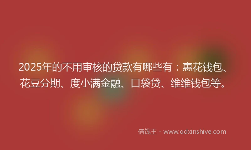 2025年的不用审核的贷款有哪些有：惠花钱包、花豆分期、度小满金融、口袋贷、维维钱包等。