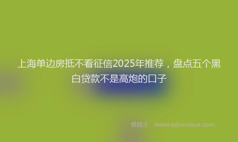 上海单边房抵不看征信2025年推荐，盘点五个黑白贷款不是高炮的口子