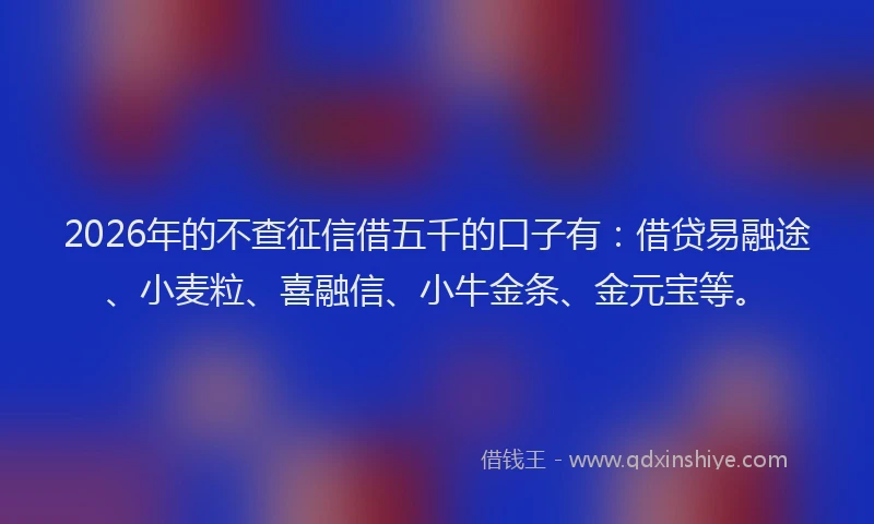 2026年的不查征信借五千的口子有：借贷易融途、小麦粒、喜融信、小牛金条、金元宝等。