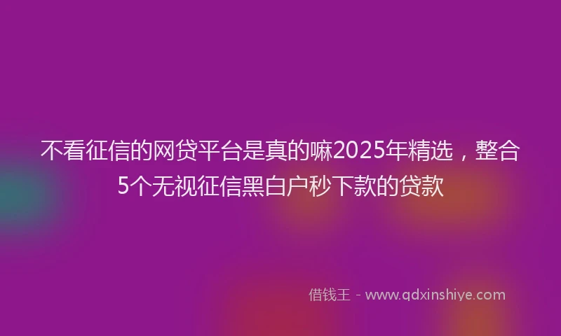 不看征信的网贷平台是真的嘛2025年精选，整合5个无视征信黑白户秒下款的贷款