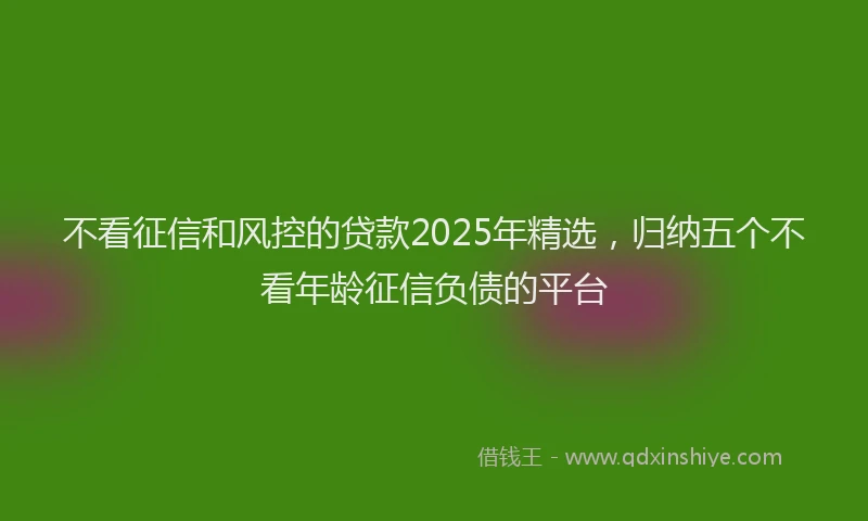 不看征信和风控的贷款2025年精选，归纳五个不看年龄征信负债的平台