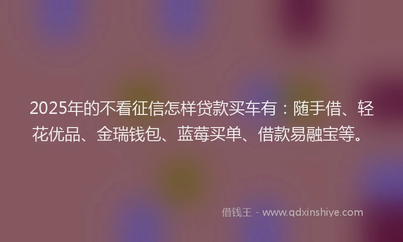 2025年的不看征信怎样贷款买车有:随手借、轻花优品、金瑞钱包、蓝莓买单、借款易融宝等。