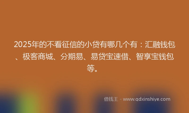 2025年的不看征信的小贷有哪几个有：汇融钱包、极客商城、分期易、易贷宝速借、智享宝钱包等。