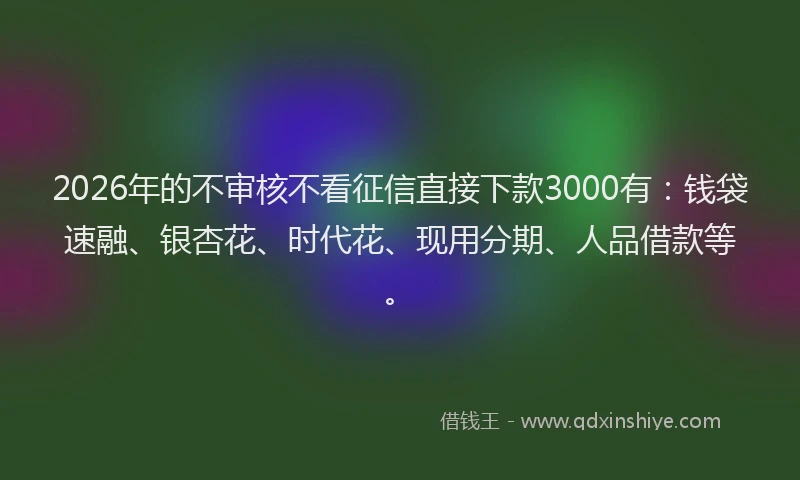 2026年的不审核不看征信直接下款3000有:钱袋速融、银杏花、时代花、现用分期、人品借款等。