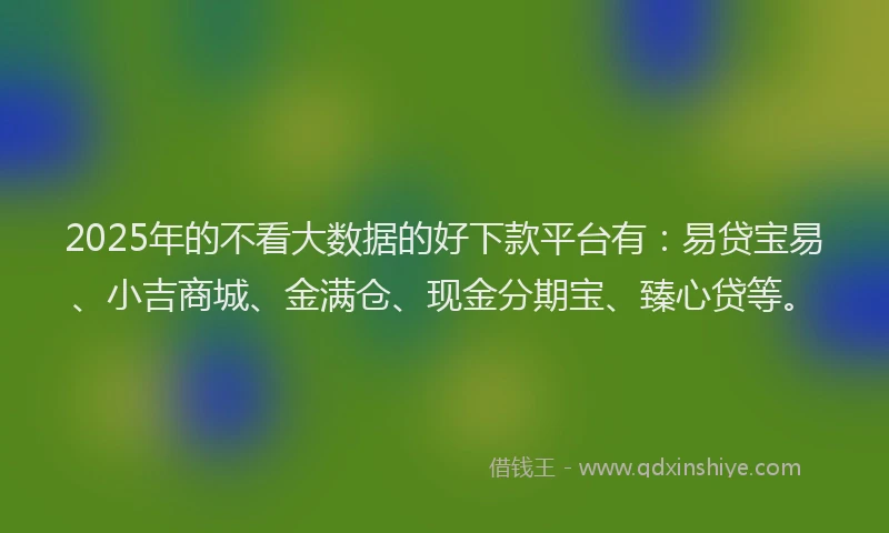 2025年的不看大数据的好下款平台有：易贷宝易、小吉商城、金满仓、现金分期宝、臻心贷等。