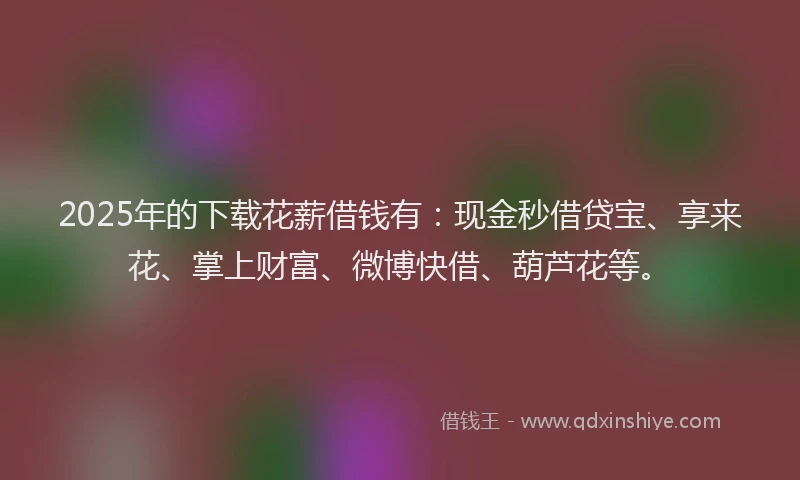 2025年的下载花薪借钱有：现金秒借贷宝、享来花、掌上财富、微博快借、葫芦花等。