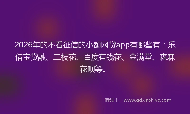 2026年的不看征信的小额网贷app有哪些有：乐借宝贷融、三枝花、百度有钱花、金满堂、森森花呗等。