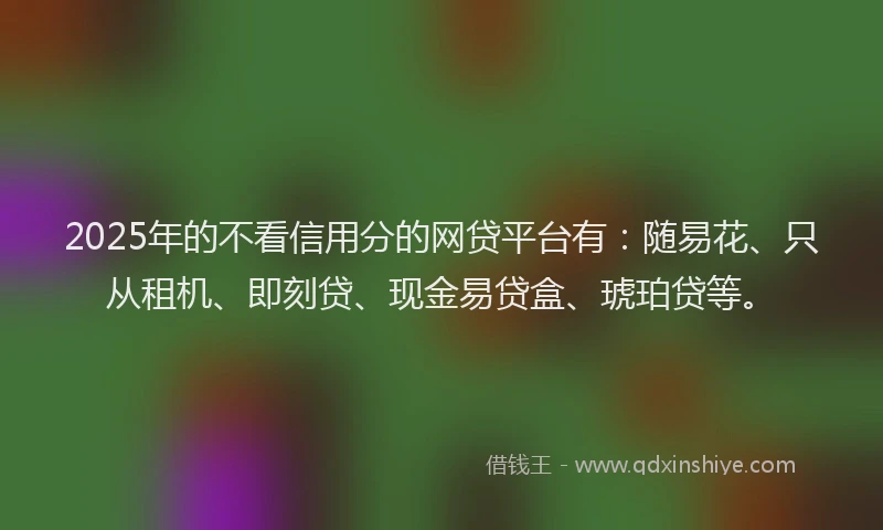 2025年的不看信用分的网贷平台有:随易花、只从租机、即刻贷、现金易贷盒、琥珀贷等。
