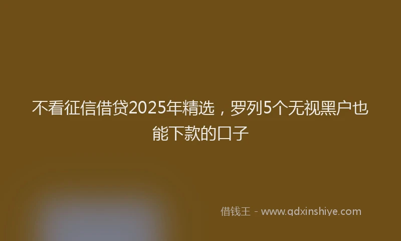 不看征信借贷2025年精选，罗列5个无视黑户也能下款的口子