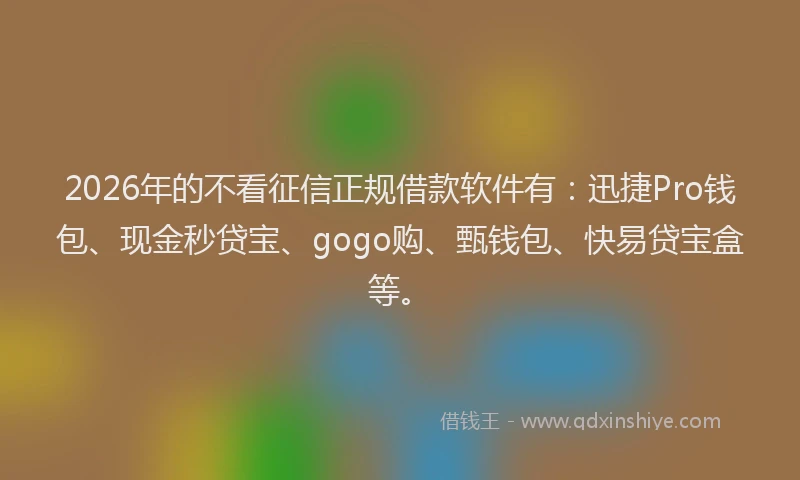 2026年的不看征信正规借款软件有：迅捷Pro钱包、现金秒贷宝、gogo购、甄钱包、快易贷宝盒等。