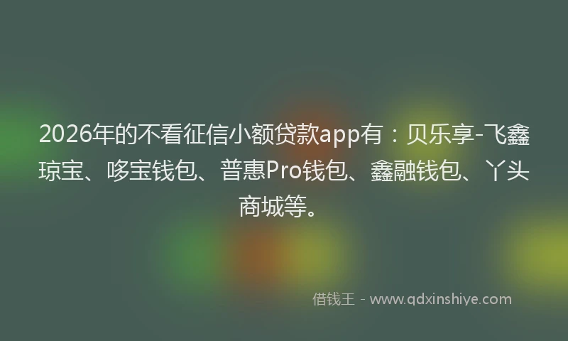 2026年的不看征信小额贷款app有：贝乐享-飞鑫琼宝、哆宝钱包、普惠Pro钱包、鑫融钱包、丫头商城等。