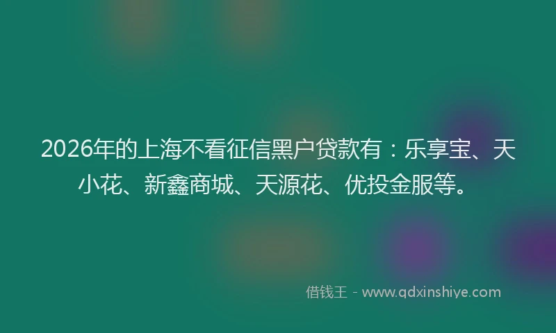 2026年的上海不看征信黑户贷款有：乐享宝、天小花、新鑫商城、天源花、优投金服等。