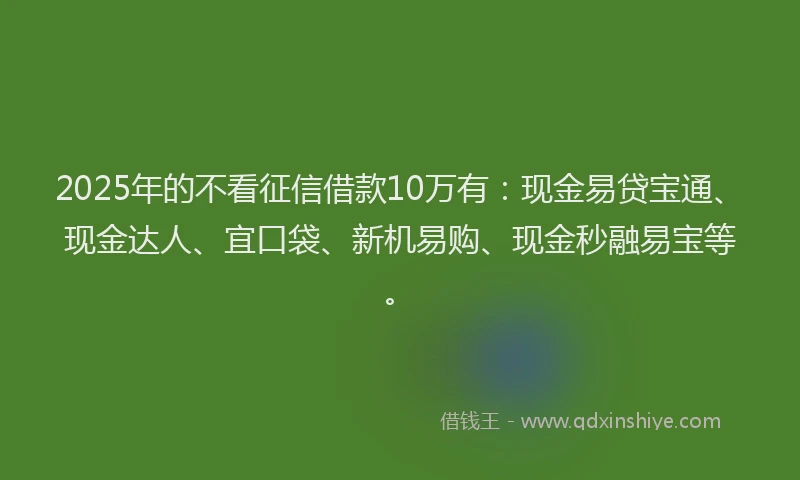 2025年的不看征信借款10万有:现金易贷宝通、现金达人、宜口袋、新机易购、现金秒融易宝等。