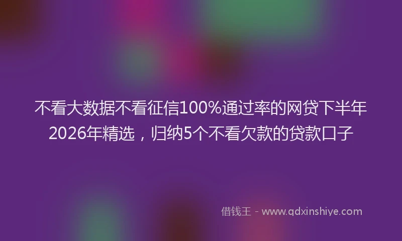 不看大数据不看征信100%通过率的网贷下半年2026年精选，归纳5个不看欠款的贷款口子