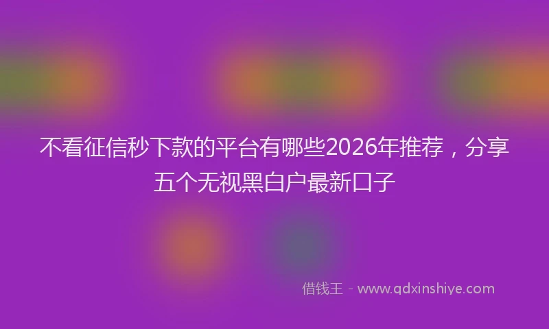 不看征信秒下款的平台有哪些2026年推荐，分享五个无视黑白户最新口子