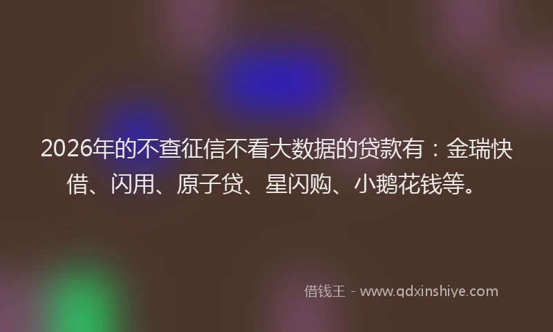 2026年的不查征信不看大数据的贷款有：金瑞快借、闪用、原子贷、星闪购、小鹅花钱等。