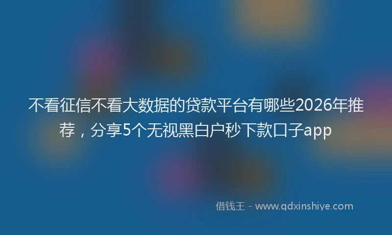 不看征信不看大数据的贷款平台有哪些2026年推荐，分享5个无视黑白户秒下款口子app