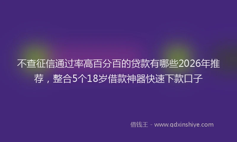 不查征信通过率高百分百的贷款有哪些2026年推荐，整合5个18岁借款神器快速下款口子