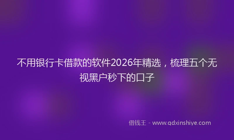 不用银行卡借款的软件2026年精选，梳理五个无视黑户秒下的口子