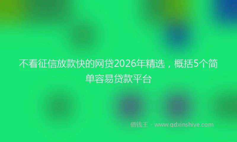 不看征信放款快的网贷2026年精选，概括5个简单容易贷款平台