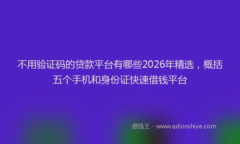 不用验证码的贷款平台有哪些2026年精选，概括五个手机和身份证快速借钱平台