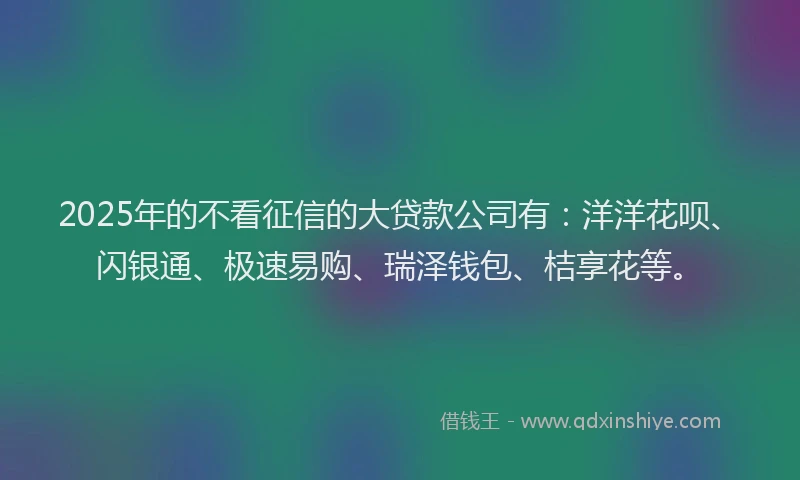 2025年的不看征信的大贷款公司有:洋洋花呗、闪银通、极速易购、瑞泽钱包、桔享花等。