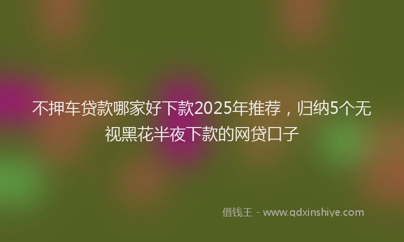 不押车贷款哪家好下款2025年推荐，归纳5个无视黑花半夜下款的网贷口子