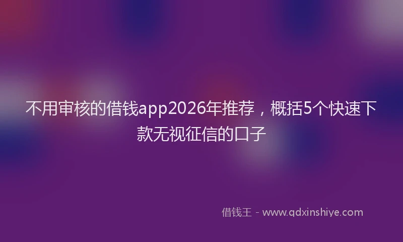 不用审核的借钱app2026年推荐，概括5个快速下款无视征信的口子