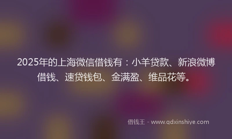 2025年的上海微信借钱有：小羊贷款、新浪微博借钱、速贷钱包、金满盈、维品花等。