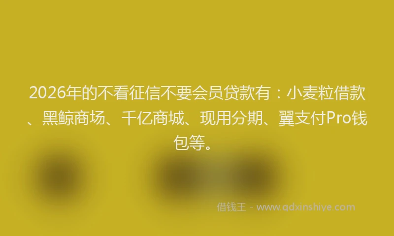 2026年的不看征信不要会员贷款有:小麦粒借款、黑鲸商场、千亿商城、现用分期、翼支付Pro钱包等。