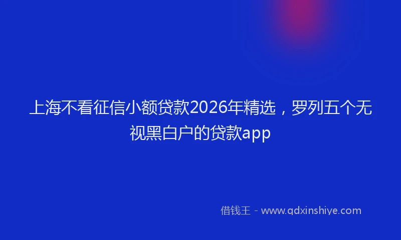 上海不看征信小额贷款2026年精选，罗列五个无视黑白户的贷款app