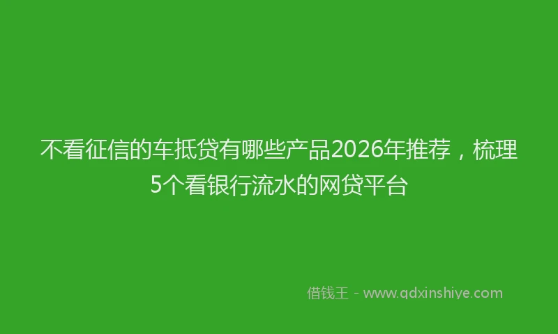 不看征信的车抵贷有哪些产品2026年推荐，梳理5个看银行流水的网贷平台