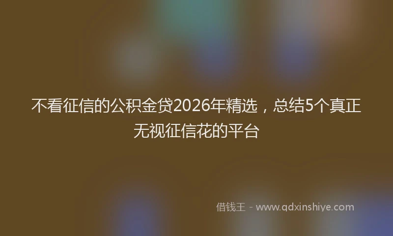 不看征信的公积金贷2026年精选，总结5个真正无视征信花的平台