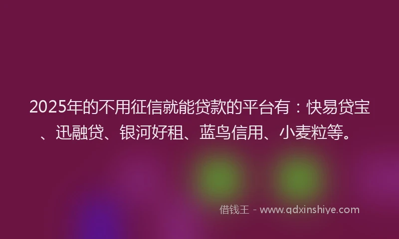 2025年的不用征信就能贷款的平台有:快易贷宝、迅融贷、银河好租、蓝鸟信用、小麦粒等。