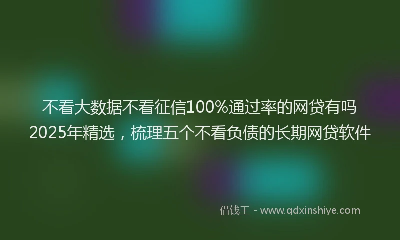 不看大数据不看征信100%通过率的网贷有吗2025年精选,梳理五个不看负债的长期网贷软件