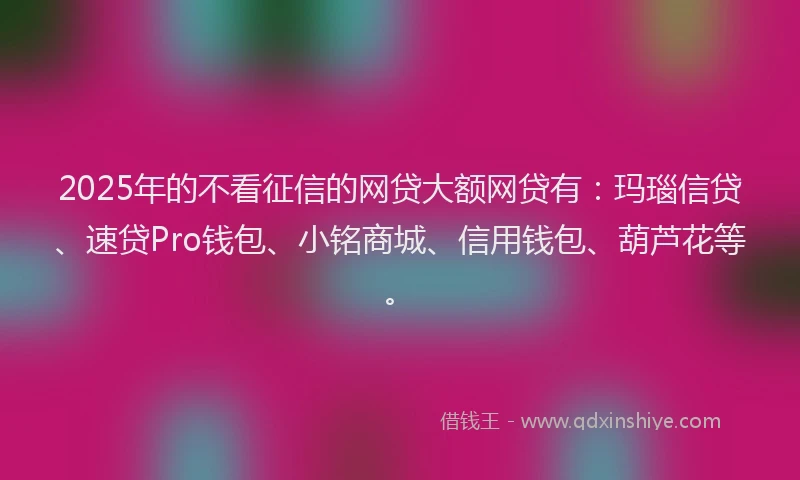 2025年的不看征信的网贷大额网贷有：玛瑙信贷、速贷Pro钱包、小铭商城、信用钱包、葫芦花等。